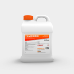 TILMICODROG - Imagen 4