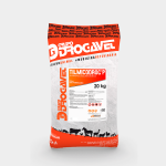 TILMICODROG P - Imagen 5