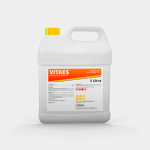 VITAES - Image 5